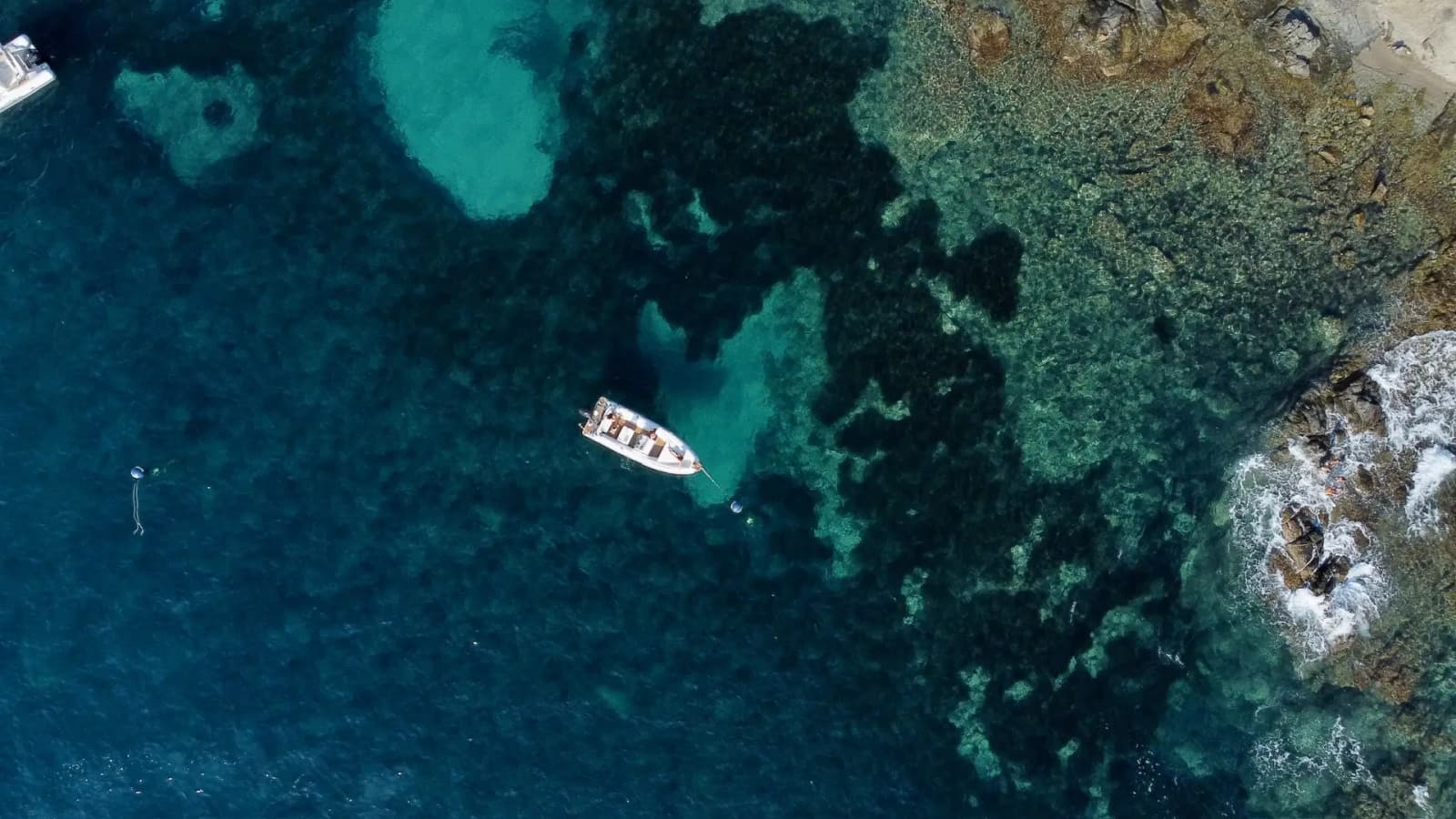 Excursion privée en bateau au mouillage sur des eaux turquoise dans une crique du Cap de Creus, Roses